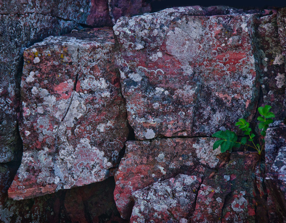 Rock & Lichens #2 Pipestone National Monument, MN