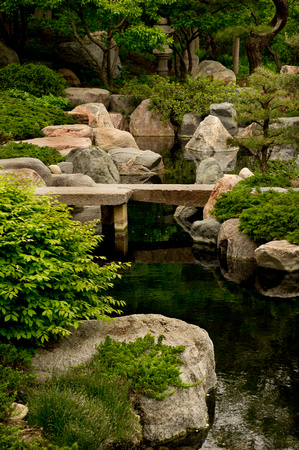 Japanese Garden Bridge-  Como Park