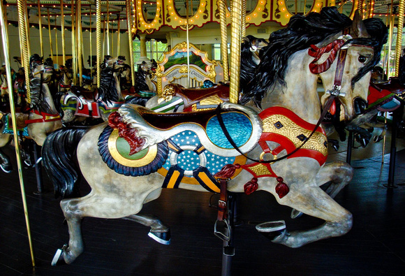 Carousel Horse - Como Park #3