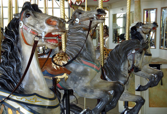 Carousel Horse - Como Park #2