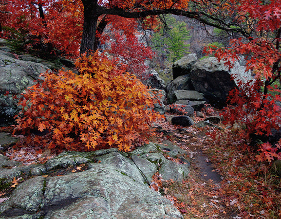 Rocky Path & Autumn Color - Interstate State Park, MN