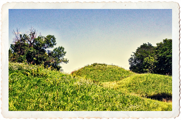 The Mounds at Indian Mounds Regional Park
