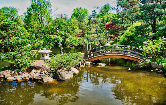 Anderson Japanese Gardens Bridge