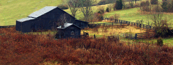 Petite Panorama - Abandoned Barn & Shed - Rural, KY