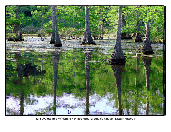 2019 Water Calendar August
