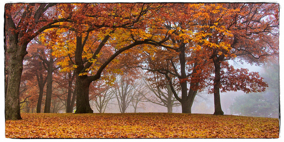 Cherokee Park Panorama