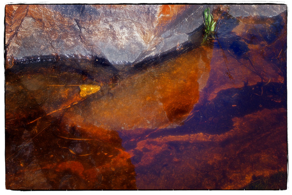 Pipestone Abstract 9005
