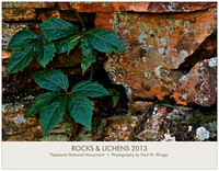 2013 Rocks and Lichens Calendar