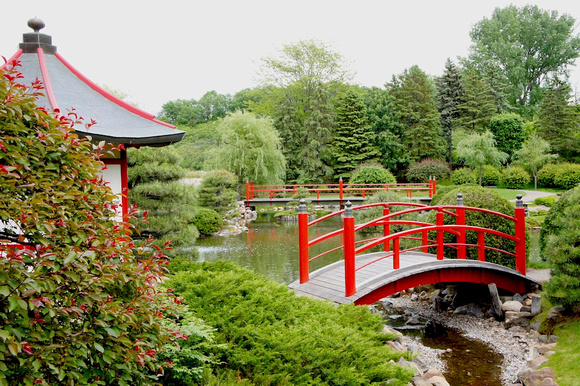 Normandale Japanese Garden Bridges #1