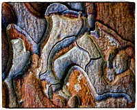 Bryce Canyon Bark 9801