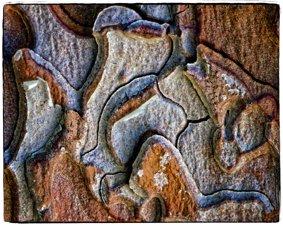 Bryce Canyon Bark 9801