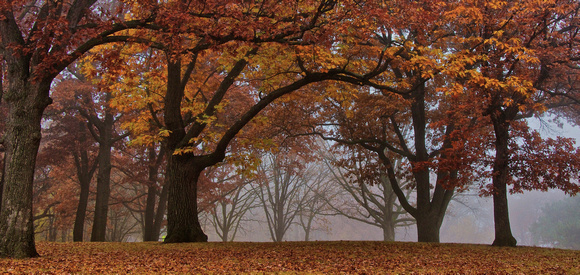 Cherokee Park Panorama