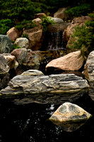 Japanese Garden Waterfall - Como Park