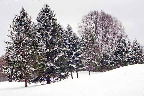 Highland Park Winter Scene
