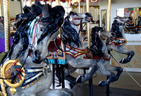 Carousel Horse - Como Park #1