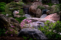 Japanese Garden Waterfall #2 - Como Park