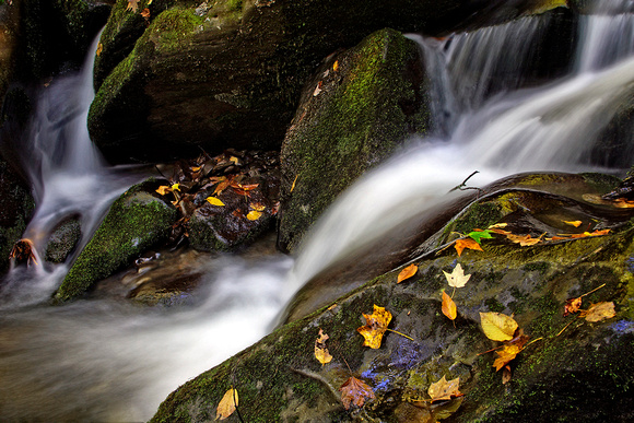 Roaring Fork Creek #2 - Great Smoky Mountains National Park