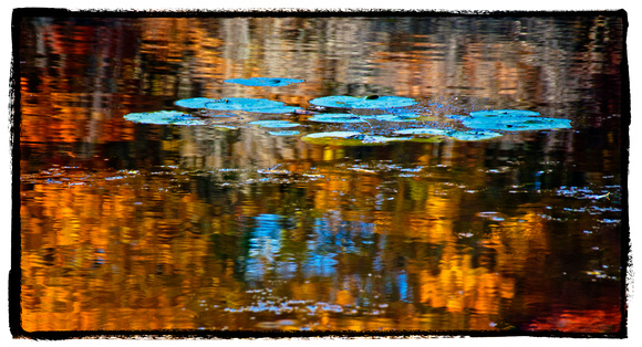 Crosby Lake Reflections