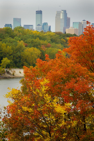 Autumnal Skyline