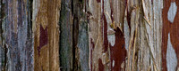 Cedar Bark Detail
