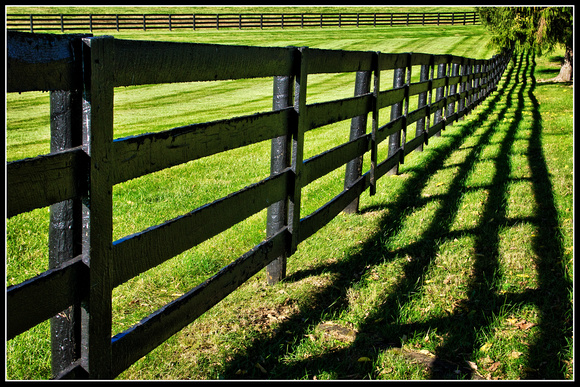 Fence Alongside Pisgah Pike - Near Versailles, KY