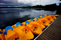 web_DSC5269