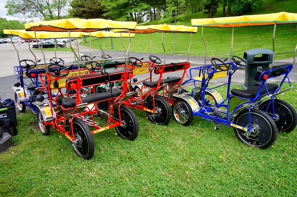 web_DSC5285