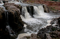 DSC00806