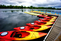 web_DSC5272