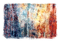 Dumpster Abstract Art 8399