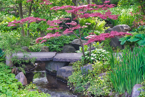 Anderson Japanese Gardens Stone Walkway 1