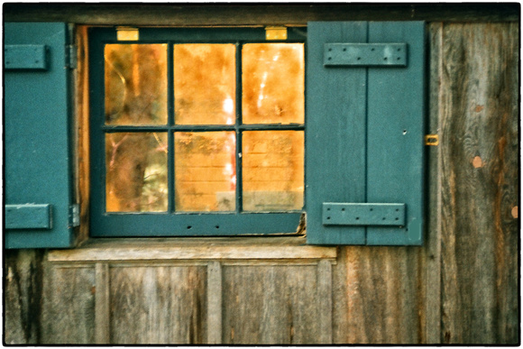 Eloise Butler Cabin Window