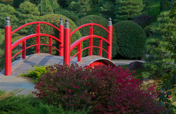 Normandale College Japanese Garden Bridge