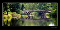 Bridge to Stewsie Island - Carleton College Arboretum - Northfield, MN