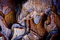 Bryce Canyon Bark 9800