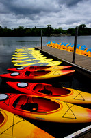 web_DSC5268
