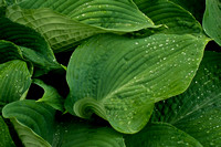 DSC01942-4x6