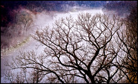 Mississippi Overlook in the Fog