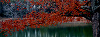 Bernheim Arboretum, Kentucky