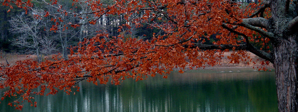 Bernheim Arboretum, Kentucky