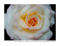 January Rose
