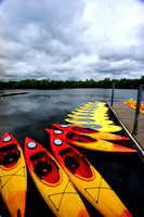 web_DSC5271