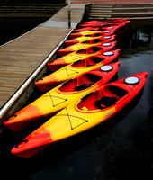 web_DSC5270