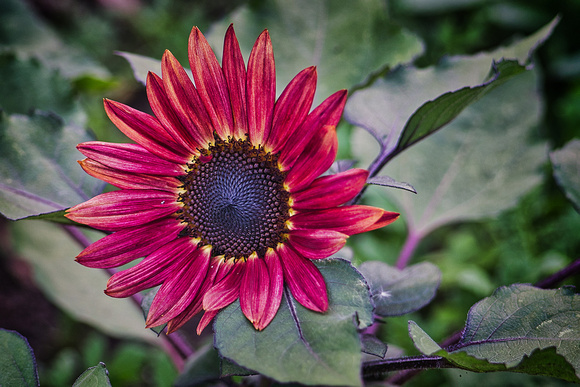 _DSC8058_edit