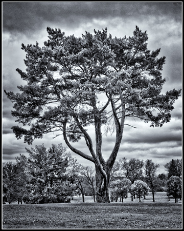 B&W challenge Day 5 - 10/23/17