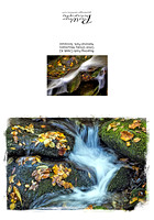 Roaring Fork Creek #2