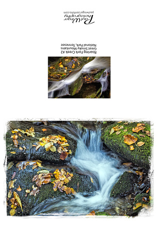 Roaring Fork Creek #2