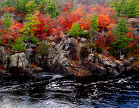 Minnesota's St. Croix Riverbank