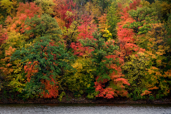 Saint Paul's Mississippi Riverbank