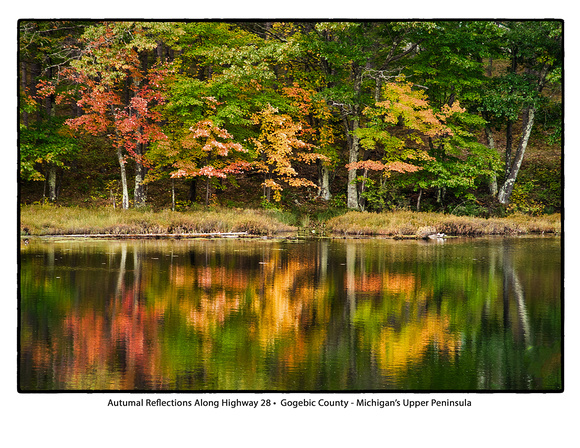 2019 Water Calendar November
